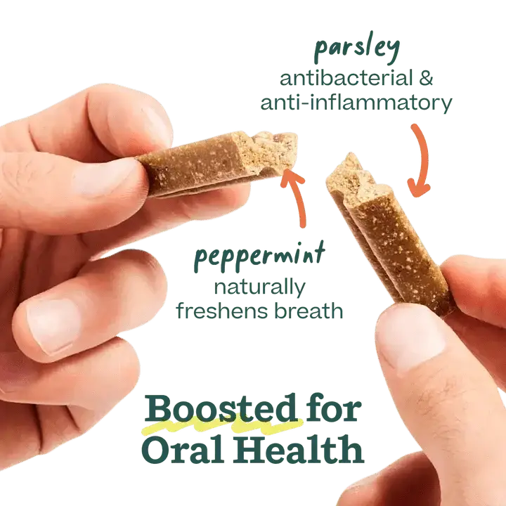 Woof Pet Bite n' Brush Dental Refills - Talis Us