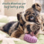 Woof Pet Calming Wellness Pops - Long Lasting Treats for the Pupsicle - Talis Us