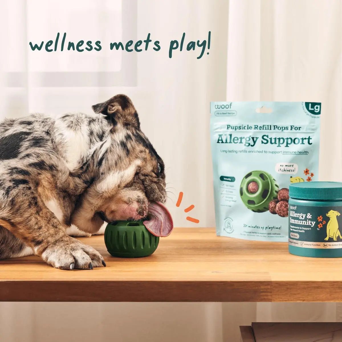 Woof Pet Pupsicle Allergy & Immunity Pop Refills Long Lasting Lickable Dog Treats - Talis Us