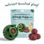 Woof Pet Pupsicle Allergy & Immunity Pop Refills Long Lasting Lickable Dog Treats - Talis Us