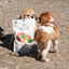 Two dogs playing near a bag of The New Zealand Natural Pet Food Co wild goat freeze dried dog food on a beach