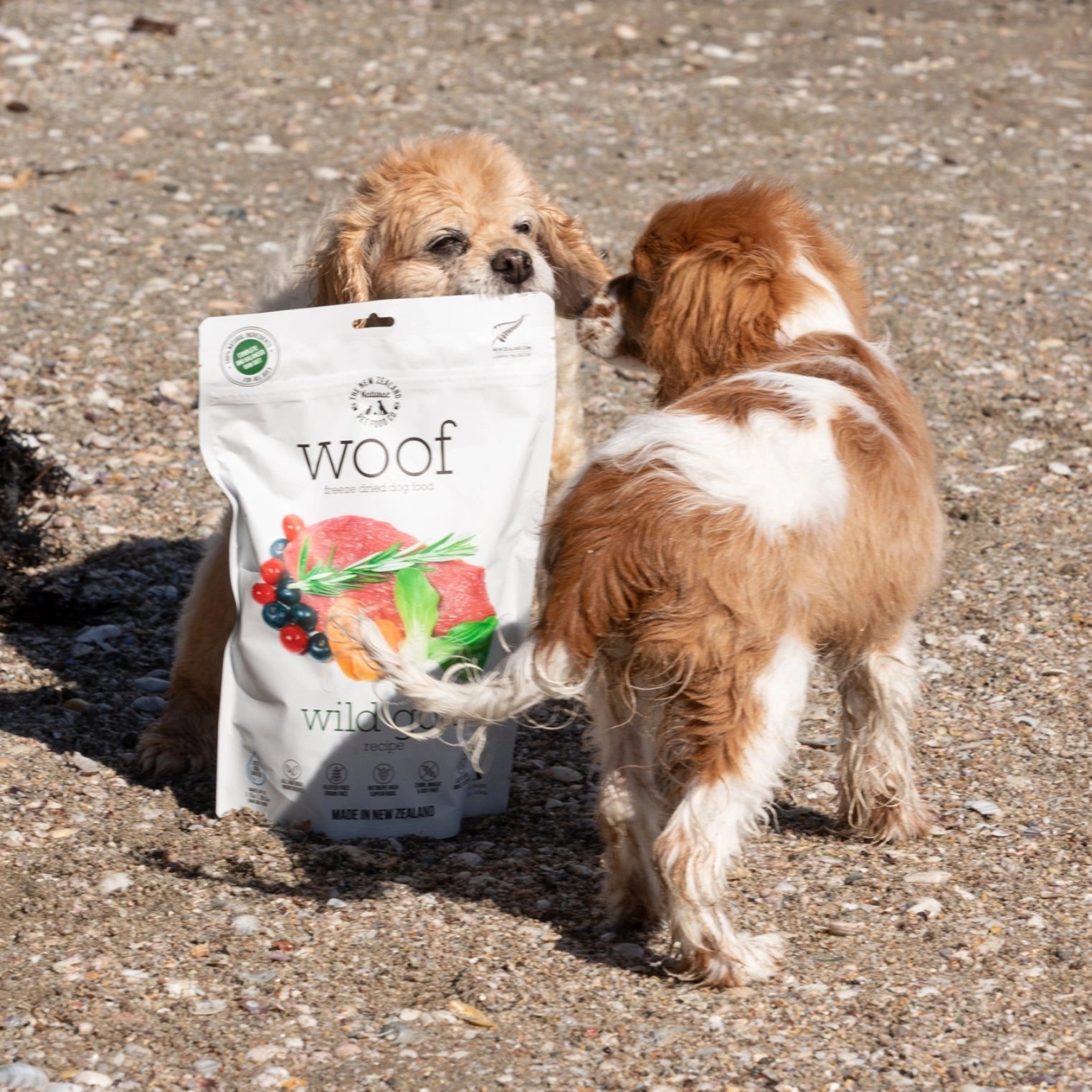Two dogs playing near a bag of The New Zealand Natural Pet Food Co wild goat freeze dried dog food on a beach