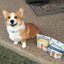 Yummers Chicken & Ginger Recipe Gourmet Meal Mix in for Dogs Food Topper, 5 oz. - Talis Us