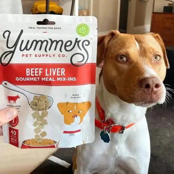 Yummers Freeze dried Beef Liver Gourmet Meal Mix in for Dogs Food Topper, 2.5 oz - Talis Us