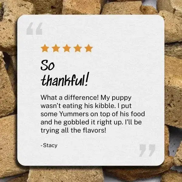 Yummers Freeze dried Beef Liver Gourmet Meal Mix in for Dogs Food Topper, 2.5 oz - Talis Us