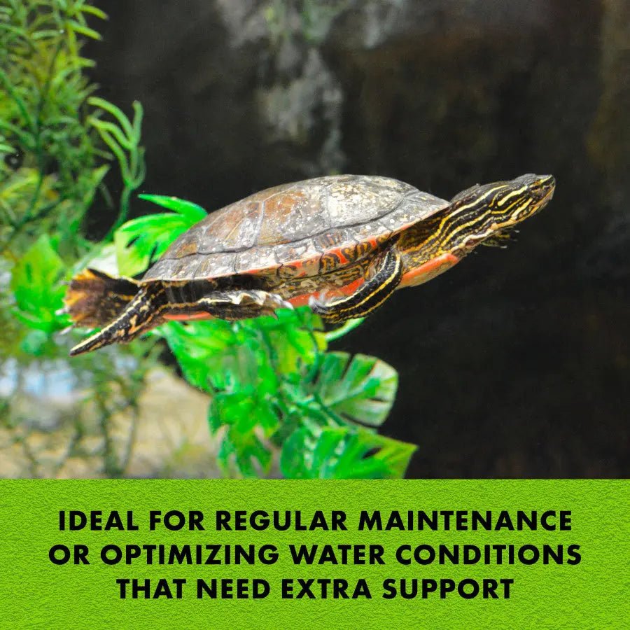 Zilla Turtle Miracle Ball - Talis Us