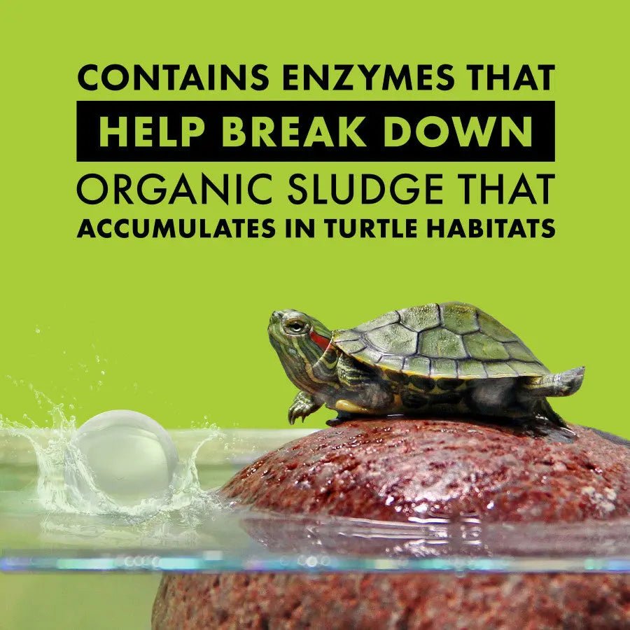 Zilla Turtle PURE 4 - pk - Talis Us