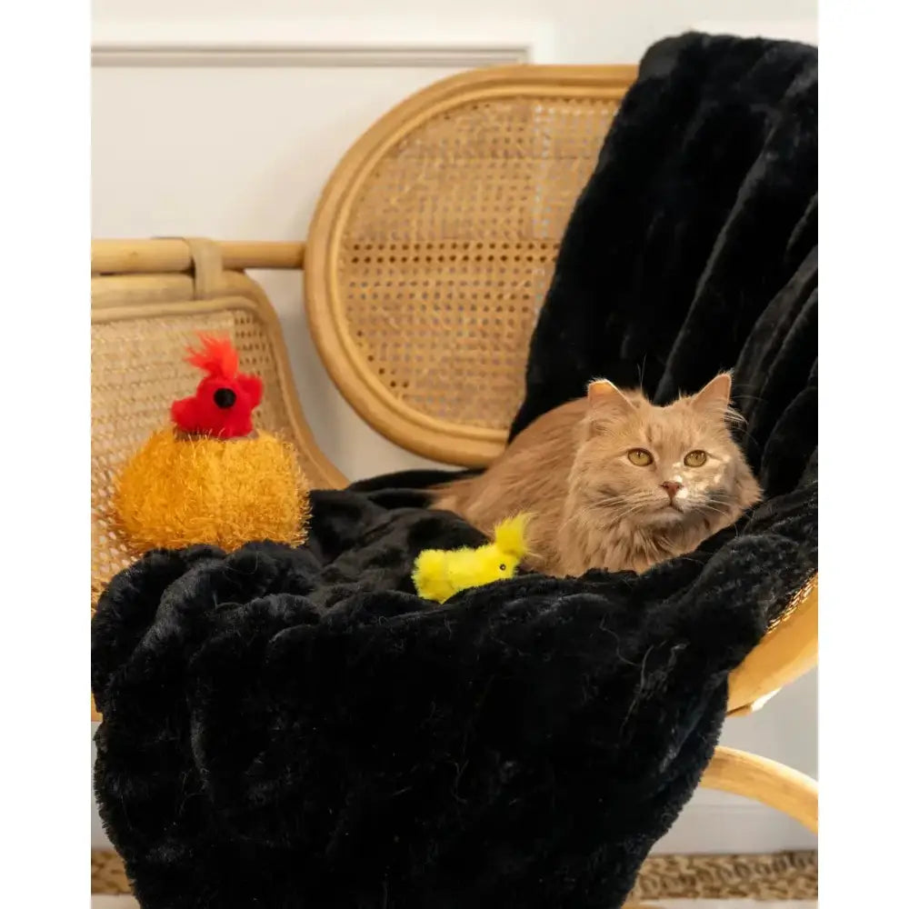 ZippyClaws Burrow™ Birds in Nest Cat Toys - Talis Us
