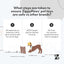 ZippyPaws dog toy safety process infographic featuring interactive dog toys for puppies