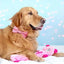 ZippyPaws Jigglerz Pink Bear Dog Toys - Talis Us