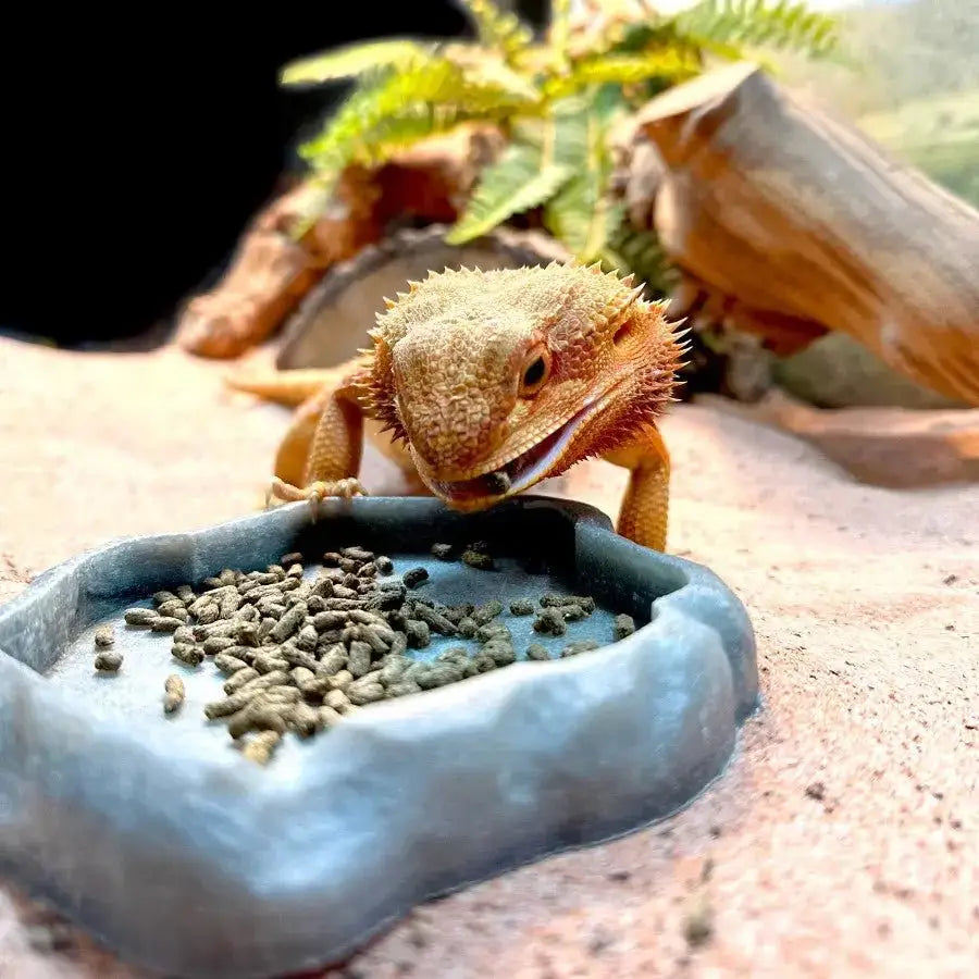 Zoo Med Adult High Fiber Bearded Dragon Food - Talis Us