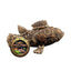 Zoo Med Steampunk Ornament Aquarium Decor - Talis Us