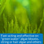 API AlgaeFix Freshwater Aquarium Algaecide API®