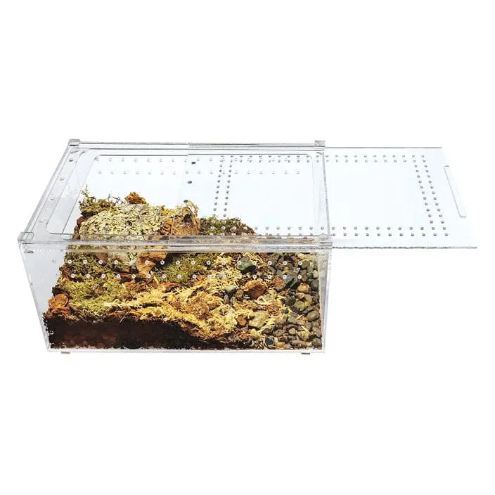 Acrylic Enclosure Clear Top Reptile Breeding Box Terrarium Cage for Insect Tarantulas Amphibians HerpCult