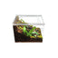 Acrylic Enclosure Clear Top Reptile Habitat Terrarium cage for Terrestrial Arboreal Tarantula HerpCult