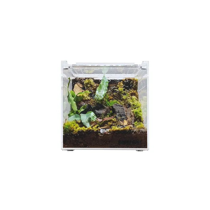 Acrylic Enclosure Clear Top Reptile Habitat Terrarium cage for Terrestrial Arboreal Tarantula HerpCult