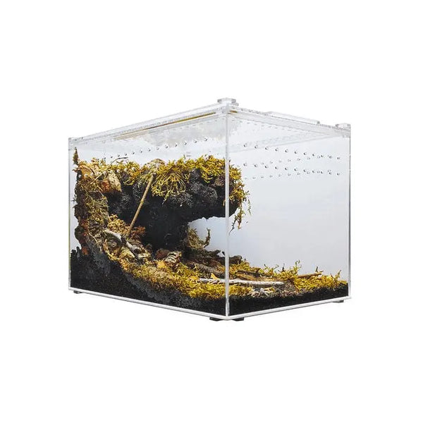 Reptile Terrarium, Tarantula Enclosure, 16 X 11 X 6 Acrylic Large  Feeding Tar