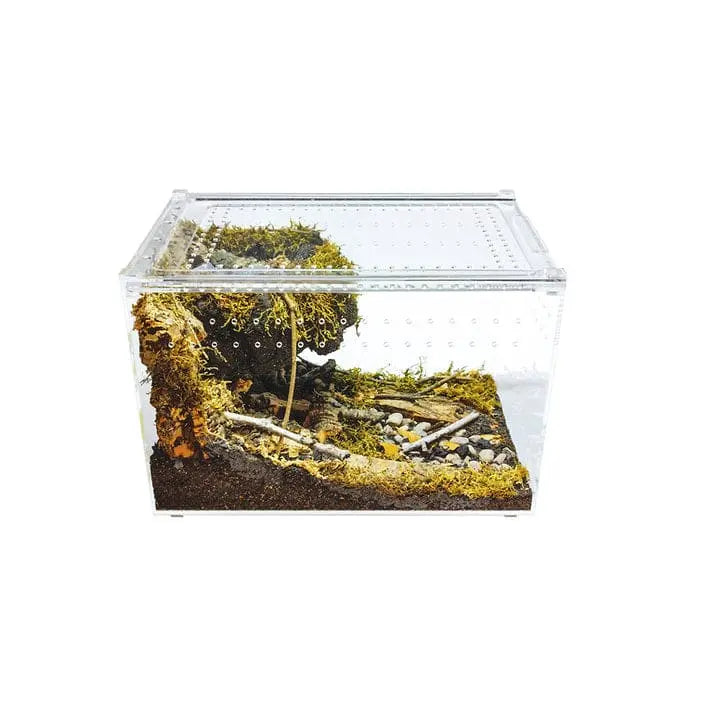 Acrylic Enclosure Large Clear Top Reptile Breeding Box Terrarium Cage for Insect Scorpion Amphibians HerpCult