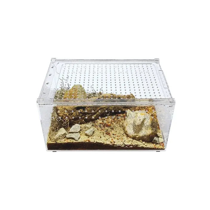 Acrylic Enclosure Large Flat Reptile Breeding Box Terrarium Cage for Insect Tarantulas Amphibians HerpCult