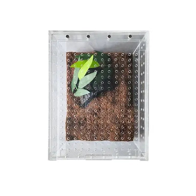 Acrylic Enclosure Medium Flat Reptile Habitat Terrarium cage for Terrestrial Arboreal Tarantula HerpCult