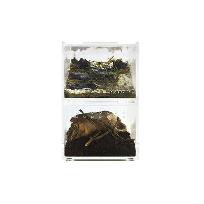 Acrylic Enclosure Mini Flat Clear Reptile Breeding Box Terrarium Cage for Tarantula Scorpion HerpCult