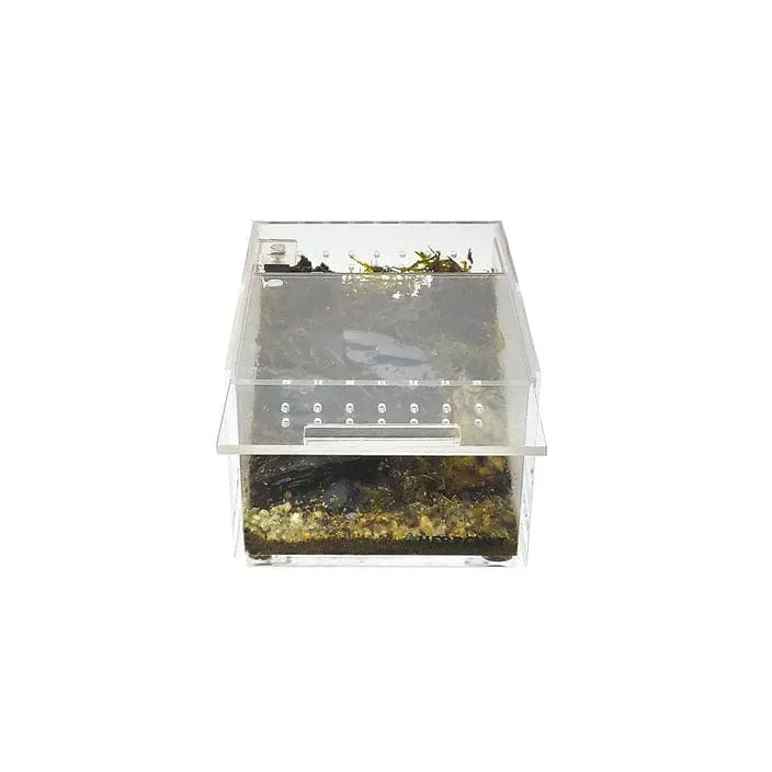 Acrylic Enclosure Mini Flat Clear Reptile Breeding Box Terrarium Cage for Tarantula Scorpion HerpCult