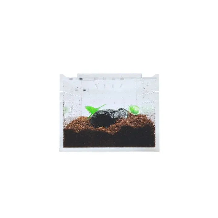 Acrylic Enclosure Mini Flat Reptile Breeding Box Terrarium Cage for Sling Isopods Invertebrates & Herpcult