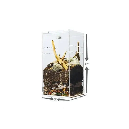 Acrylic Enclosure Mini Tall Reptile Breeding Box Terrarium Cage for Sling Isopods Invertebrates & HerpCult