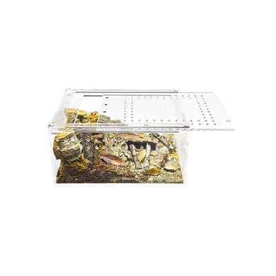 Acrylic Enclosure Small Flat Transparent Reptile Breeding Box Terrarium Cage for Tarantula Scorpion HerpCult