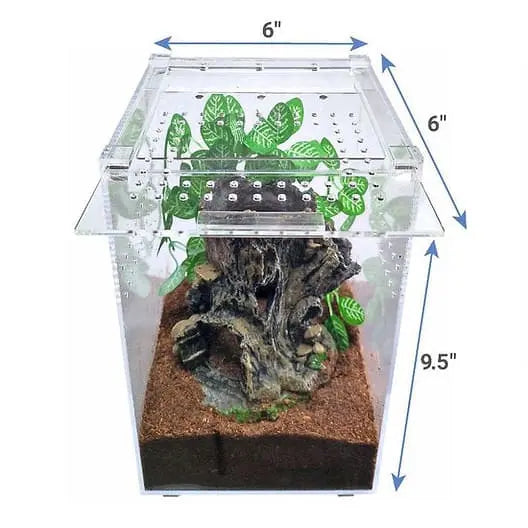 Acrylic Enclosure Small Tall Transparent Reptile Breeding Box Terrarium Cage for Tarantula Scorpion HerpCult
