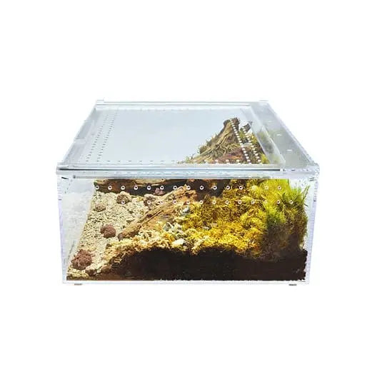 Acrylic Enclosure XLarge Clear Top Transparent Reptile Breeding Box Terrarium Cage Tank for Geckos, HerpCult
