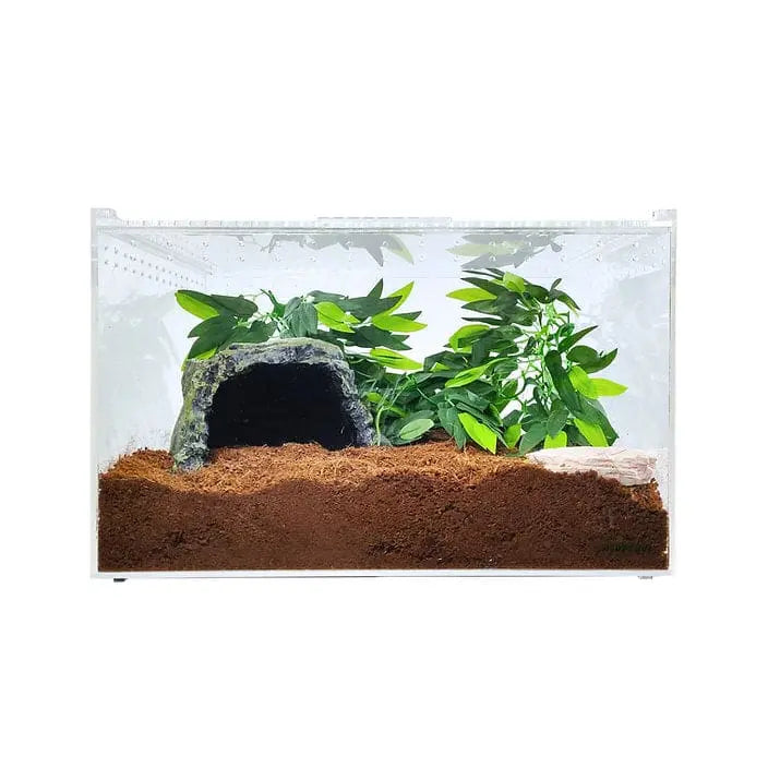 Acrylic Enclosure XLarge Clear Top Transparent Reptile Breeding Box Terrarium Cage Tank for HerpCult