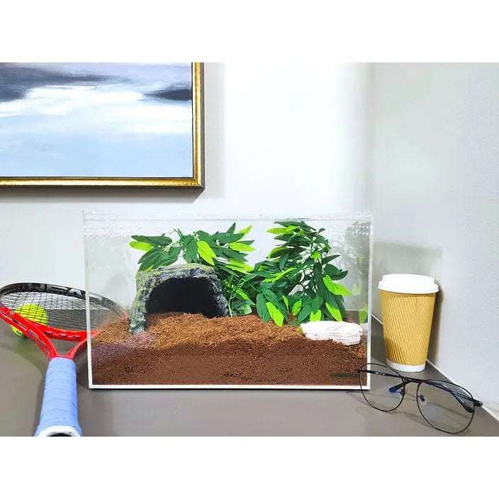 Acrylic Enclosure XLarge Clear Top Transparent Reptile Breeding Box Terrarium Cage Tank for HerpCult