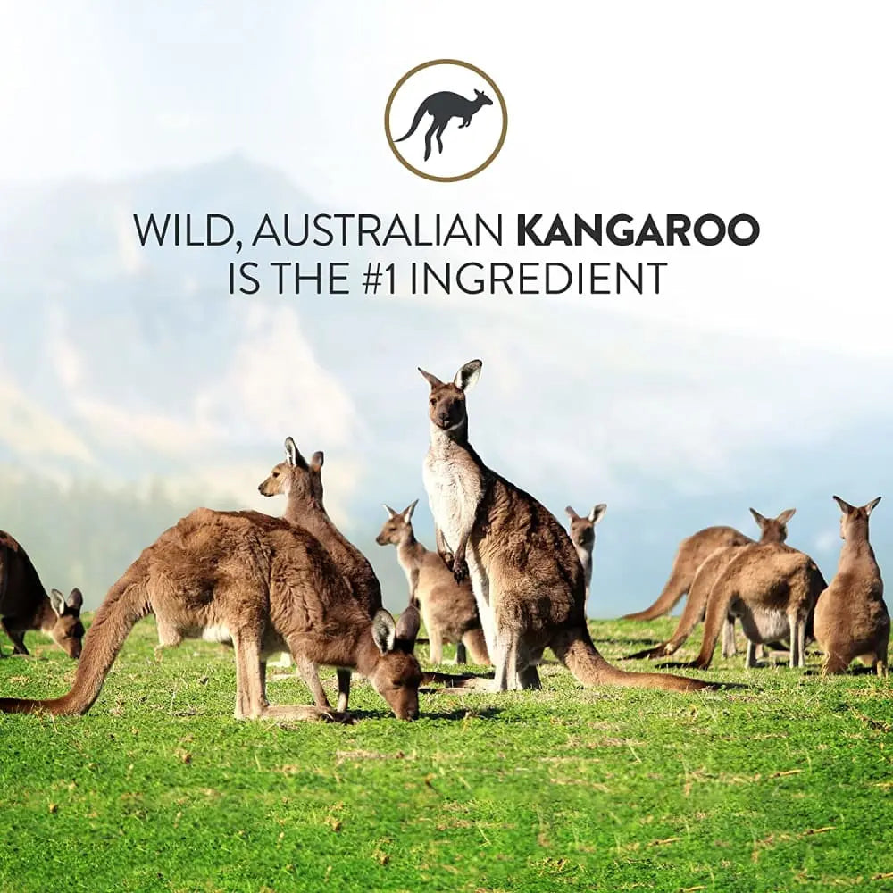 Addiction Outback Kangaroo Feast Raw Alternative Skin and Coat Health Air Dried Dog Food Addiction
