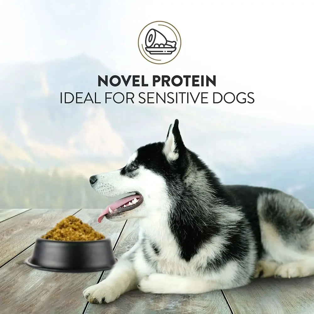 Addiction Perfect Summer Brushtail Raw Alternative Gently Air Dried Dog Food Addiction