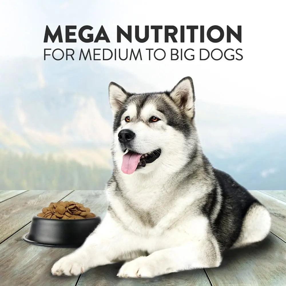 Addiction Pet Foods Mega Grain Free Dry Dog Food Addiction