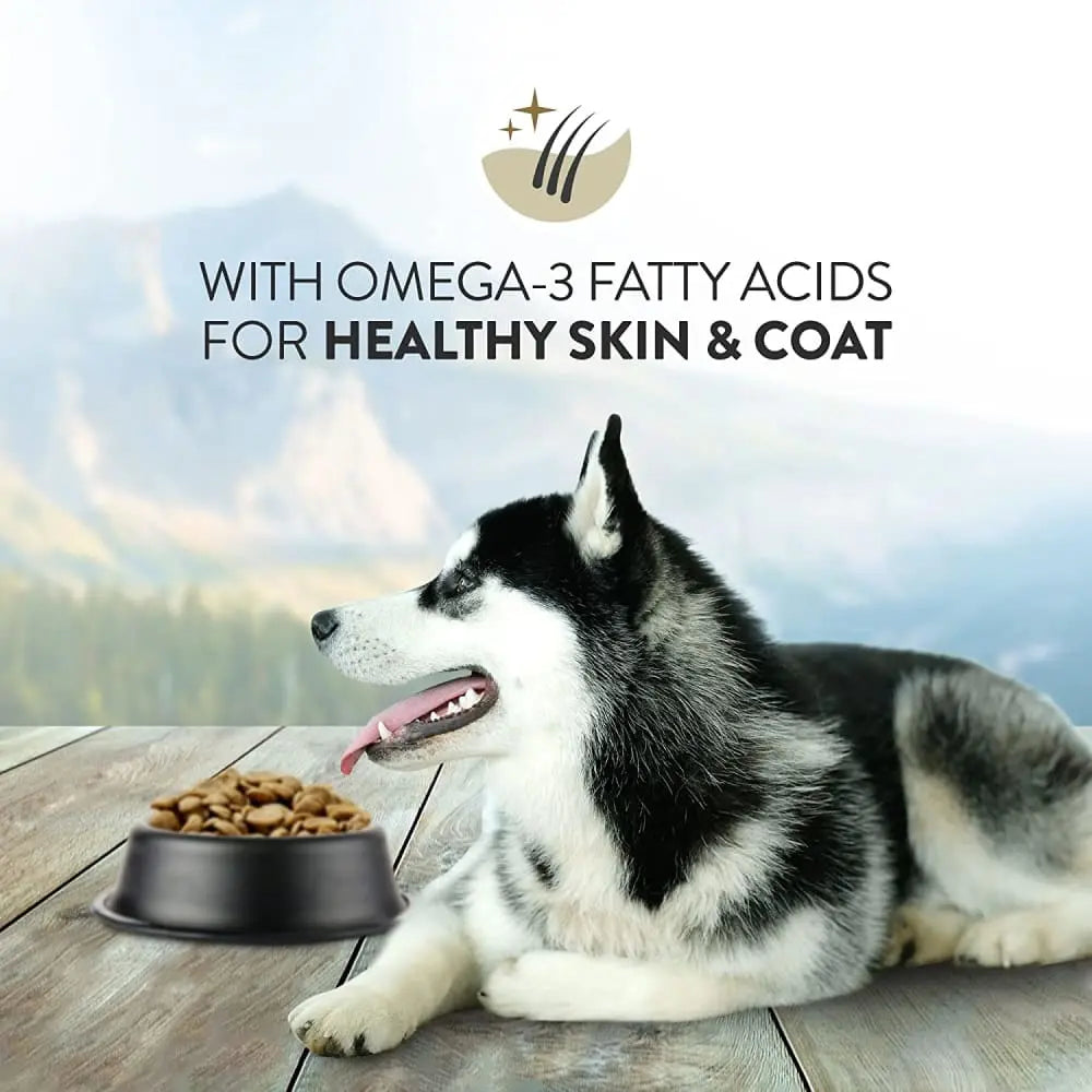 Addiction Salmon Bleu Dog Skin and Coat Health Dry Dog Food Talis Us