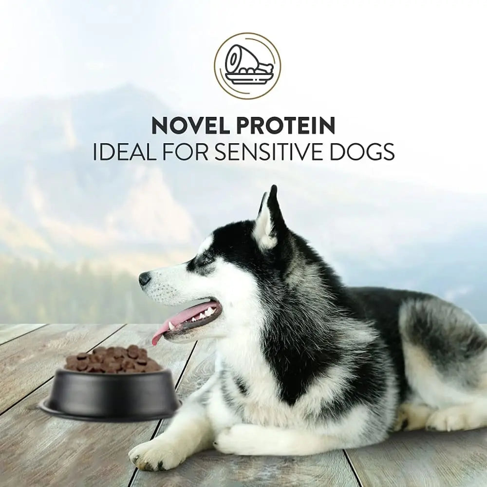 Addiction Wild Kangaroo & Apples Limited Ingredient Premium Protein Dry Dog Food Addiction