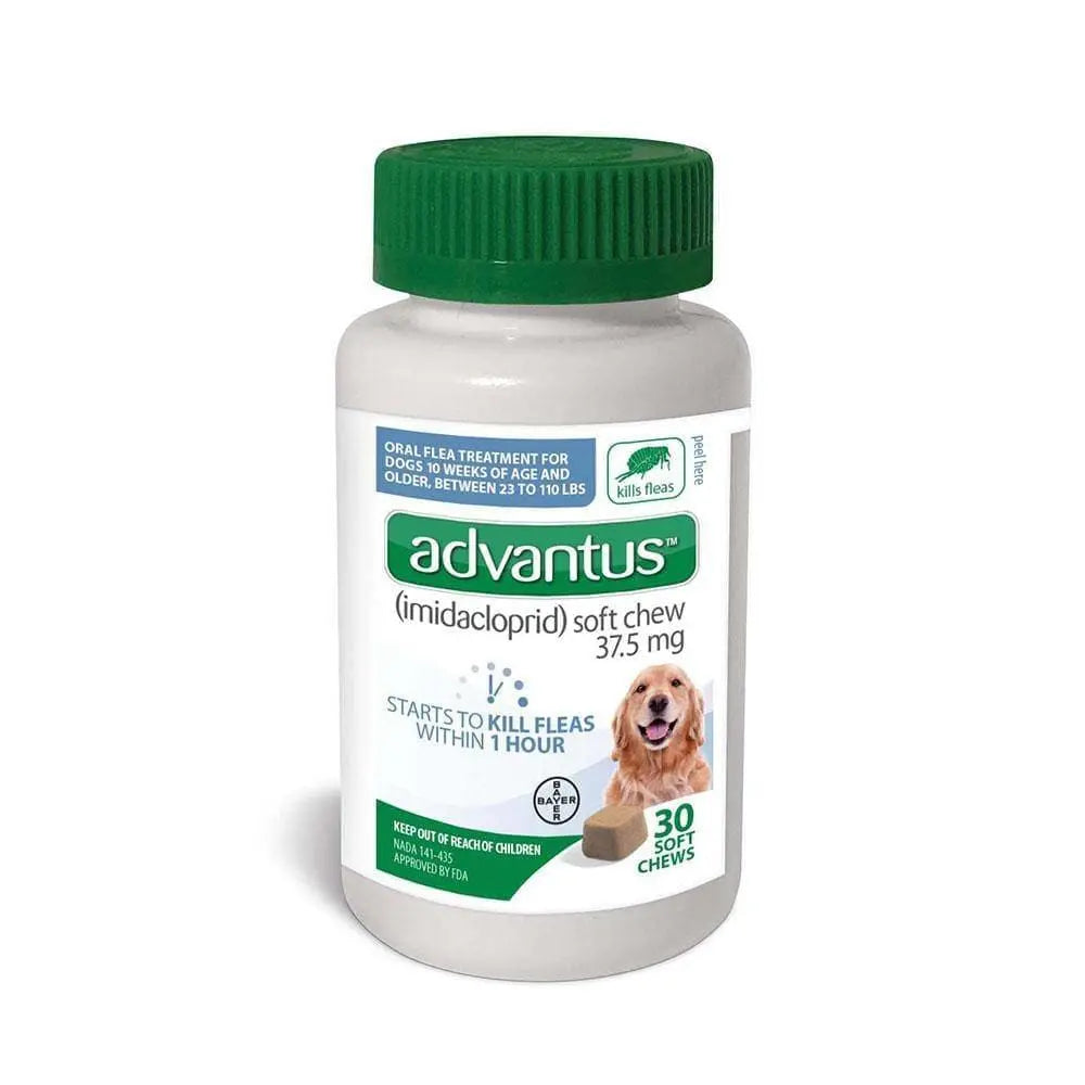 Advantus® Soft Chews 37.5 mg for Large to Extra Large Dog 30 Count Advantus®