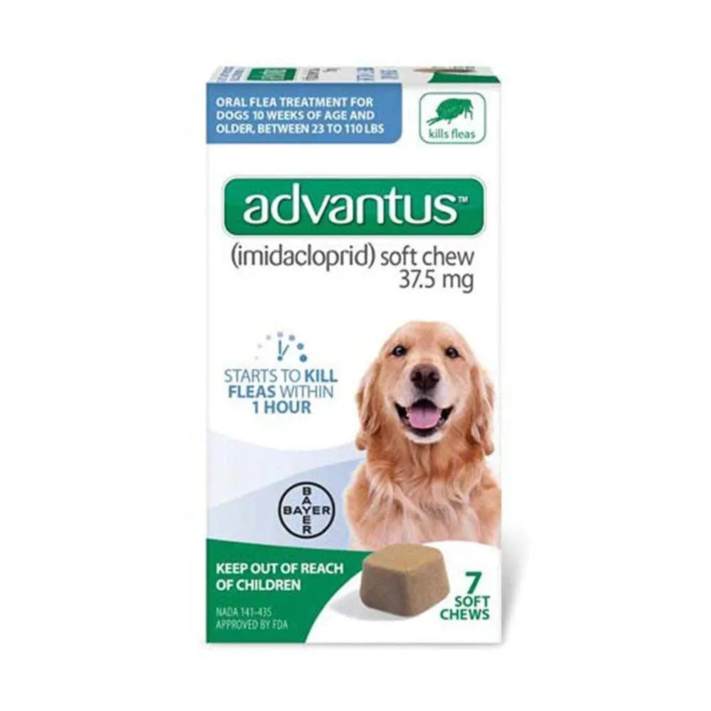 Advantus® Soft Chews 37.5 mg for Large to Extra Large Dog 7 Count Advantus®