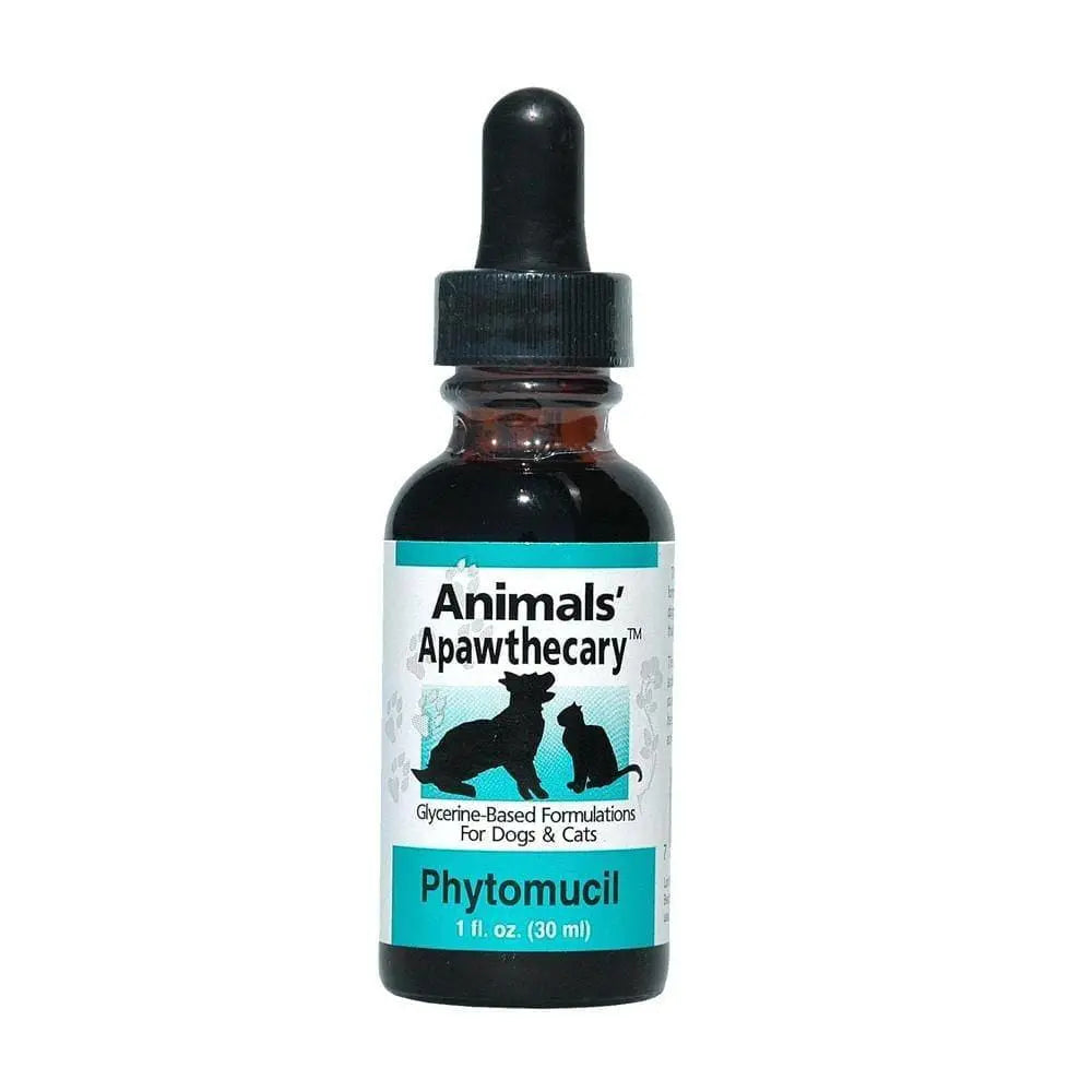 Animal Essentials® Colon Rescue Herbal GL Support for Cat & Dog 1 Oz Animal Essentials®