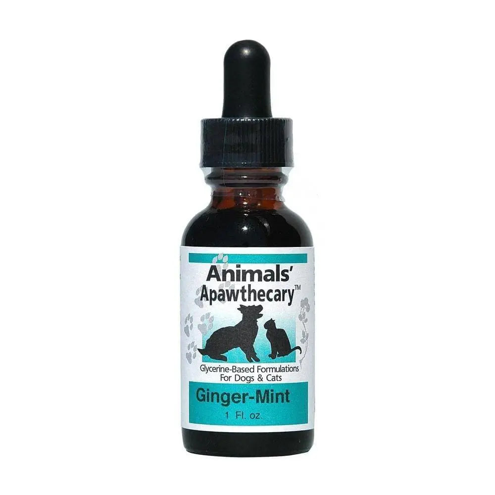 Animal Essentials® Ginger/Mint Daily Digestion for Cat & Dog 1 Oz Animal Essentials®