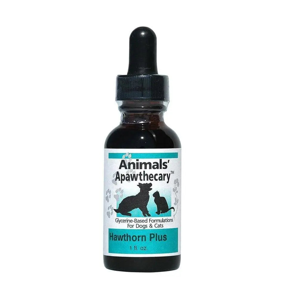 Animal Essentials® Heart Health Cardiovascular Support for Cat & Dog 1 Oz Animal Essentials®