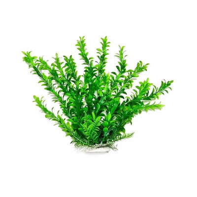 Aquatop® Hygro-Like Aquarium Plant 20 Inch Green Color with Weighted Base Aquatop®
