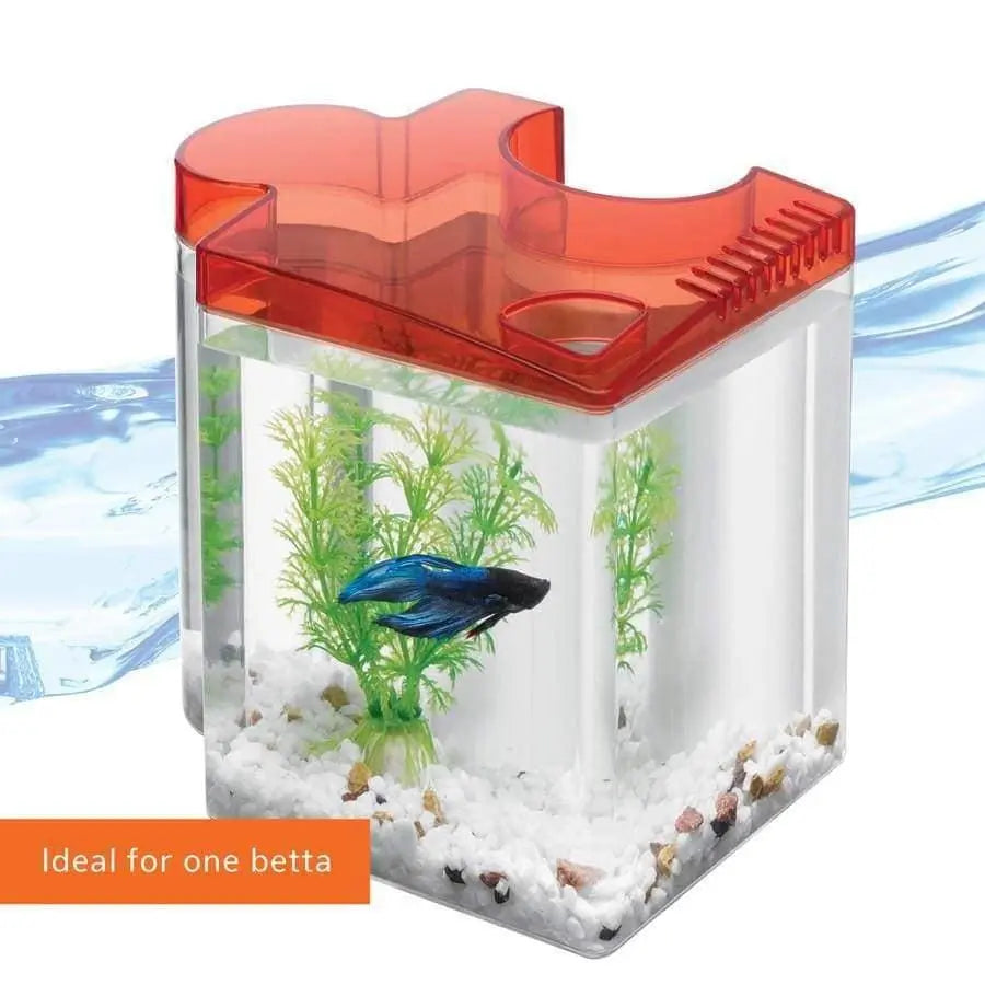 Aqueon Betta Puzzle Aquarium Kits Aqueon® CPD