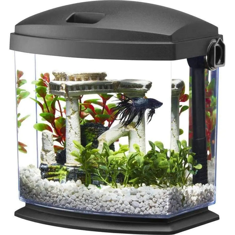 Aqueon BettaBow with Quick Clean Technology Aquarium Kit Black – Talis Us