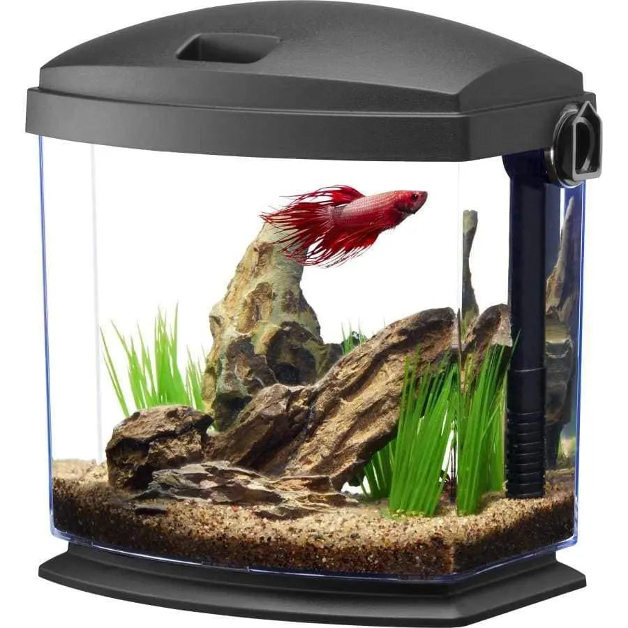 Aqueon BettaBow with Quick Clean Technology Aquarium Kit Black – Talis Us