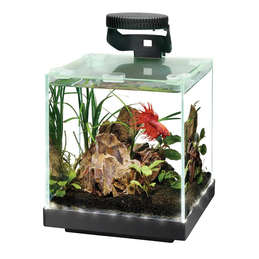 Aqueon Edgelit Cube Glass Aquarium Vibrant LED Remote Control Aqueon® CPD
