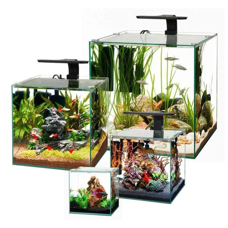Aqueon Frameless Cube Aquarium Multiple Sizes Aqueon® CPD