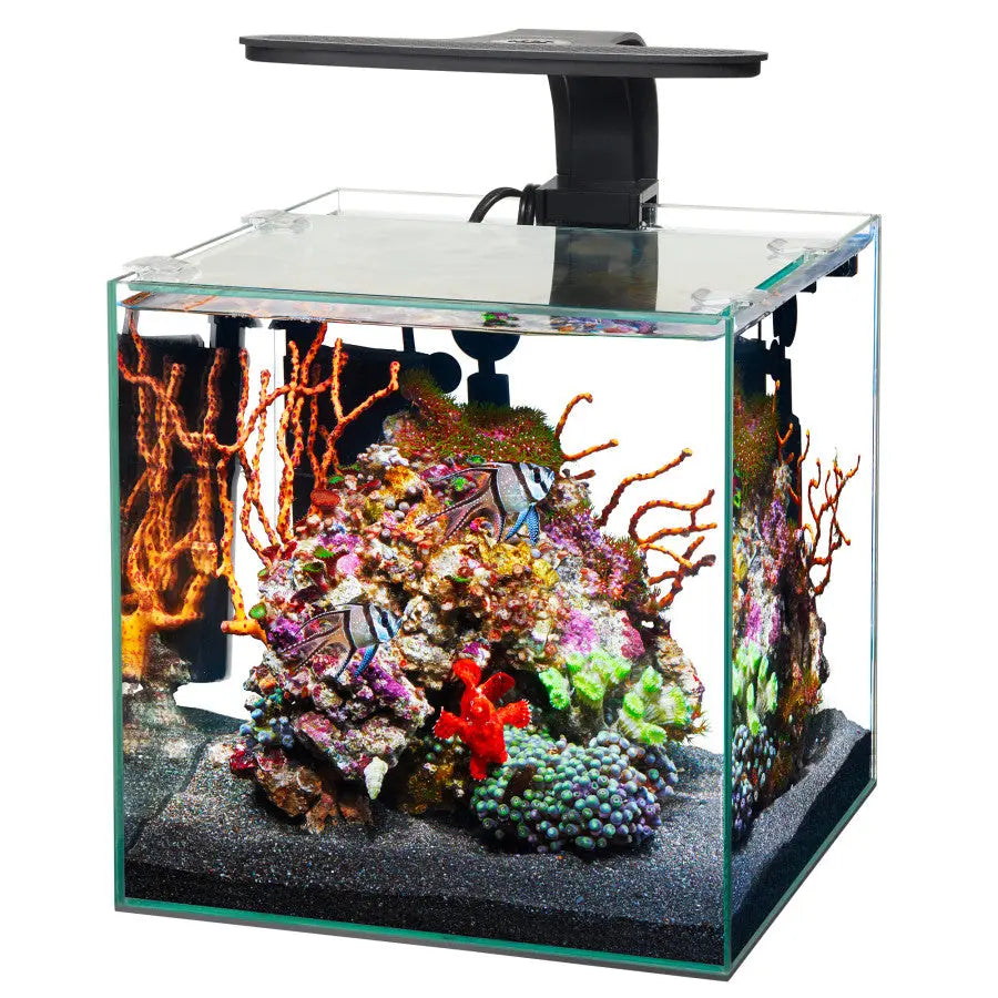 Aqueon Frameless Cube Aquarium Multiple Sizes Aqueon® CPD
